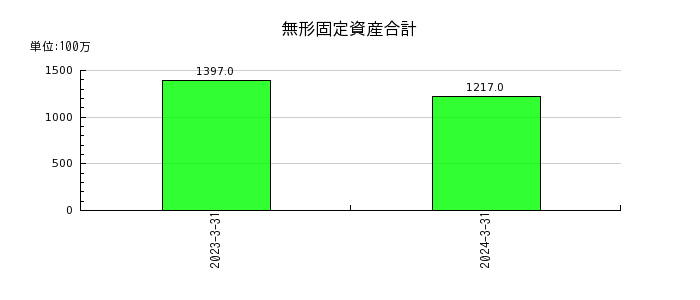 富士紡ホールディングスの無形固定資産合計の推移
