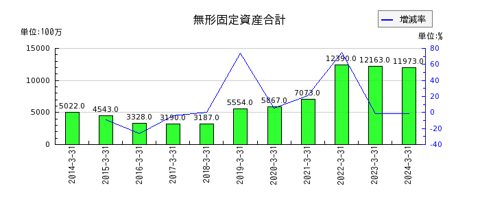 日本軽金属ホールディングスの無形固定資産合計の推移