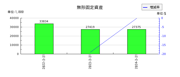 日本電解の無形固定資産の推移
